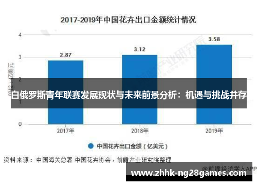 白俄罗斯青年联赛发展现状与未来前景分析：机遇与挑战并存