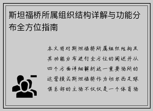 斯坦福桥所属组织结构详解与功能分布全方位指南